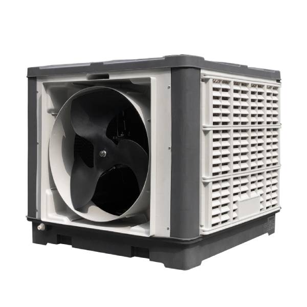 |ݸh(hun){(dio)-2020h(hun){(dio)r|r