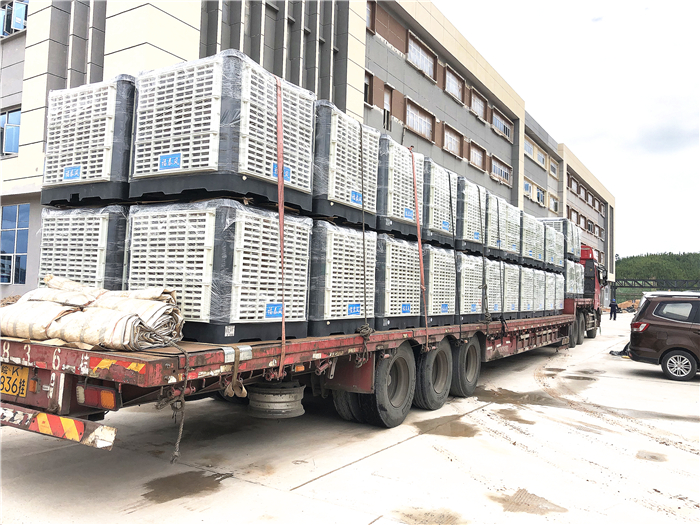 h(hun){(dio)͂y(tng){(dio)ą^(q)e